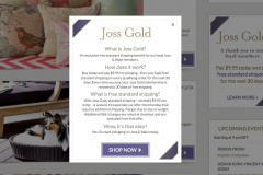 jossandmain-jossgold-freeshippingproduct-branding