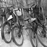 tulum-bikes-cr-selene-angier