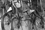 tulum-bikes-cr-selene-angier